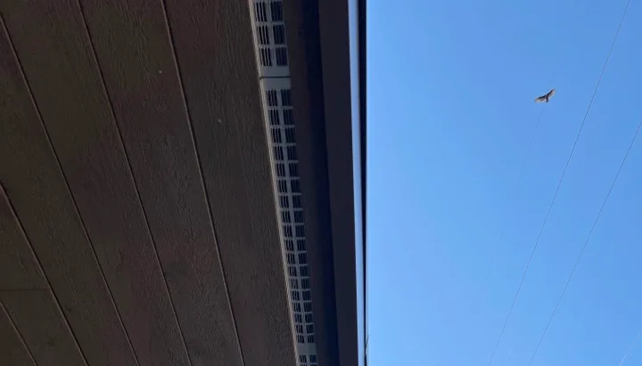 Soffit vent on the underside of an enclosed eave.