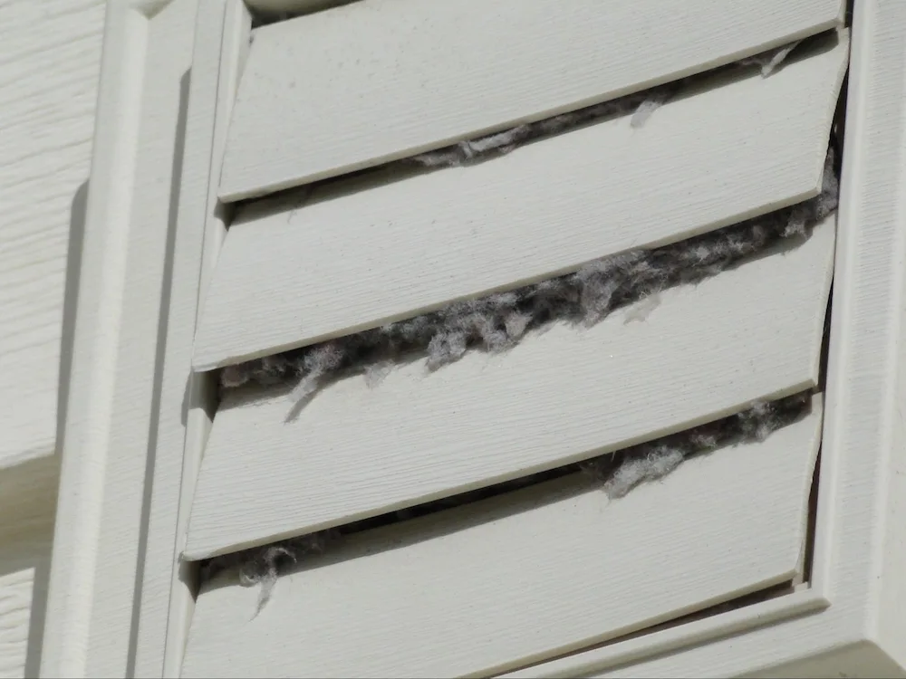 Plastic louvered dryer outlet. Note accumulation of lint at outlet - indicative of the need for  maintenance at the outlet.