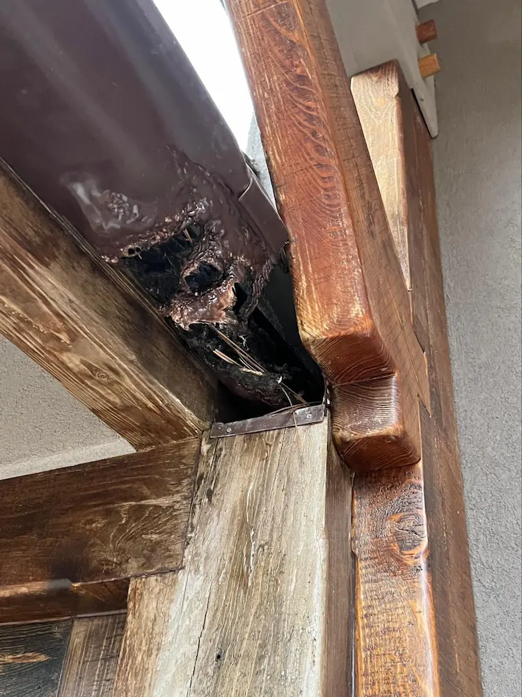 Plastic vinyl gutter damaged by plant debris that accumulated and ignited during a wildfire. All gutters should have metal gutter covers installed to prevent debris accumulation.