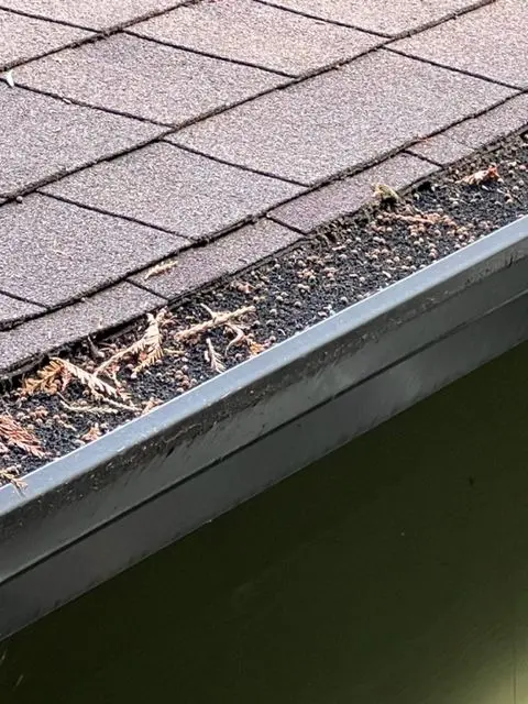 Combustible plastic (foam) gutter insert with accumulated debris that should be replaced with a noncombustible option. Product information included with these products indicate they have been treated with a fire retardant. Field testing demonstrated they were vulnerable to flaming exposures. Note the accumulation of debris on top of the device. Vegetative debris would be vulnerable to ignition by embers and once ignited, would provide a flaming exposure to the foam gutter device.