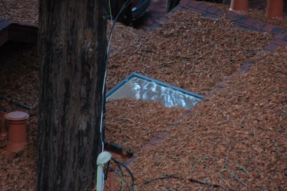 Roof with significant accumulation of plant debris, which would be expected to ignite from ember cast during a wildfire.