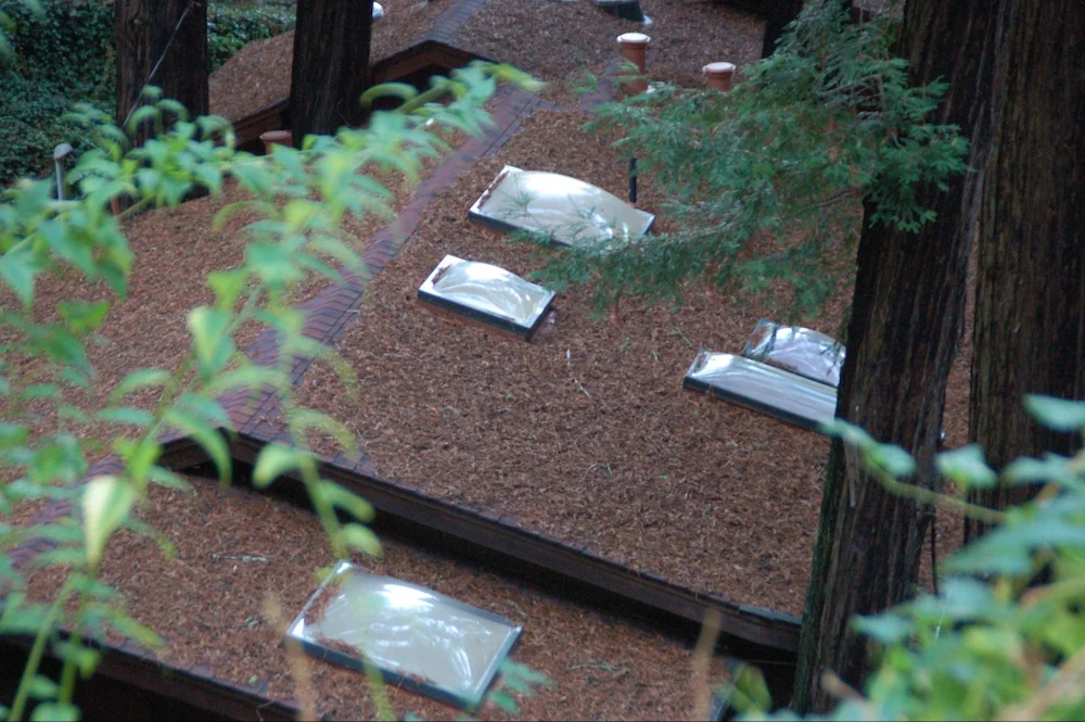  Low slope roof, domed (plastic) skylight. Note accumulation of vegetative debris on the roof and minimal accumulation on the skylight.